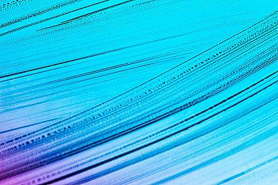 《完蛋！我被美女包围2》新预告和截图：极品丁 美女如云